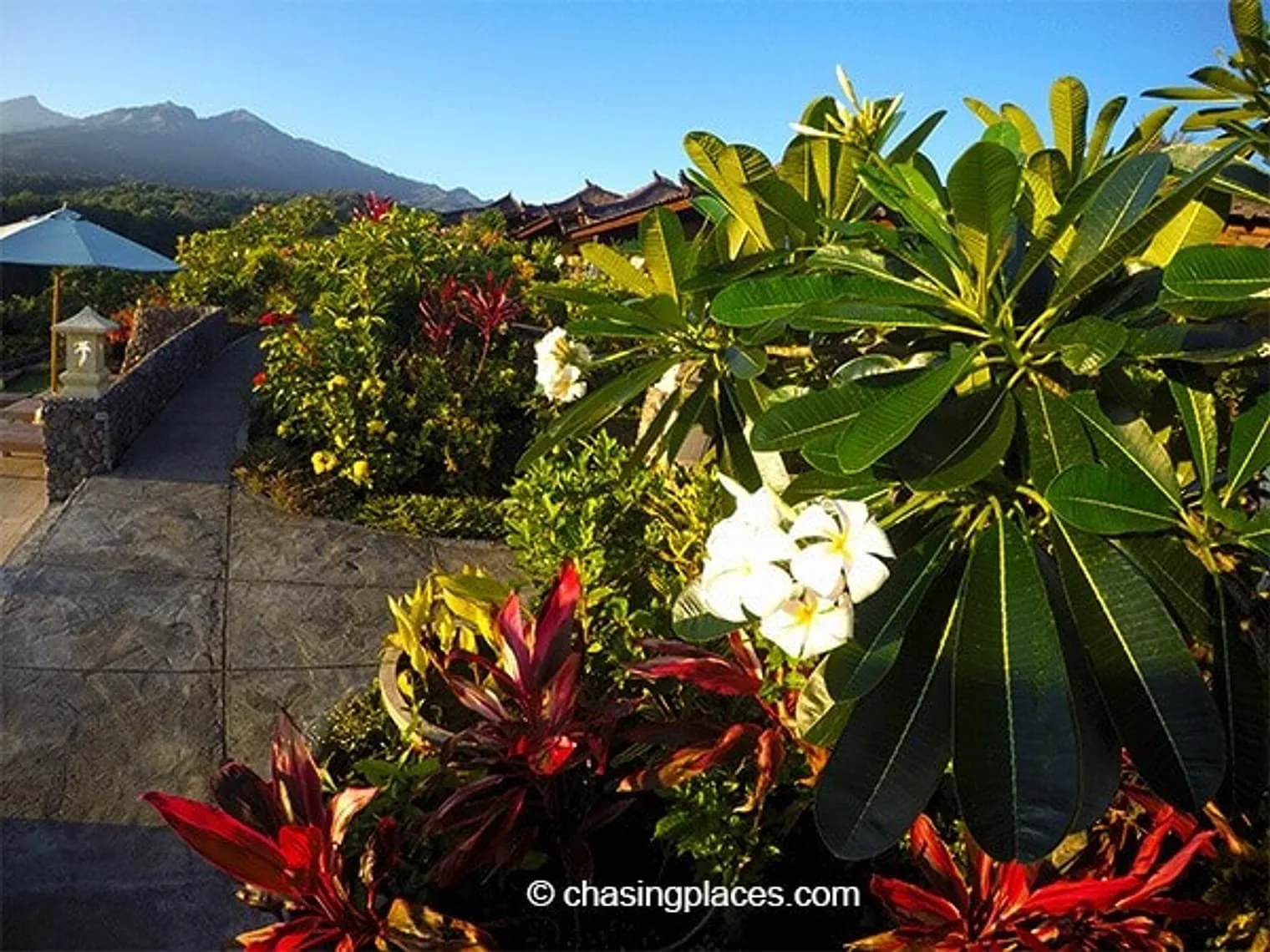 Rinjani Lodge has beautiful flowers surrounding their property
