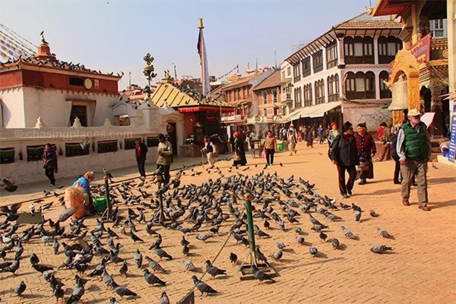 Pigeons occupying the path around Bodnath