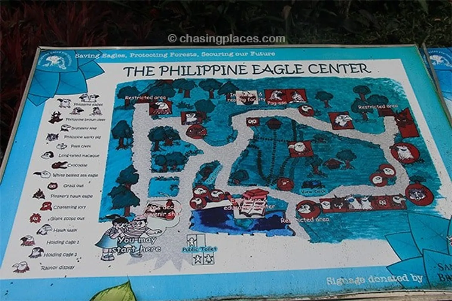 Oneof the aged maps of the Philippine Eagle Center