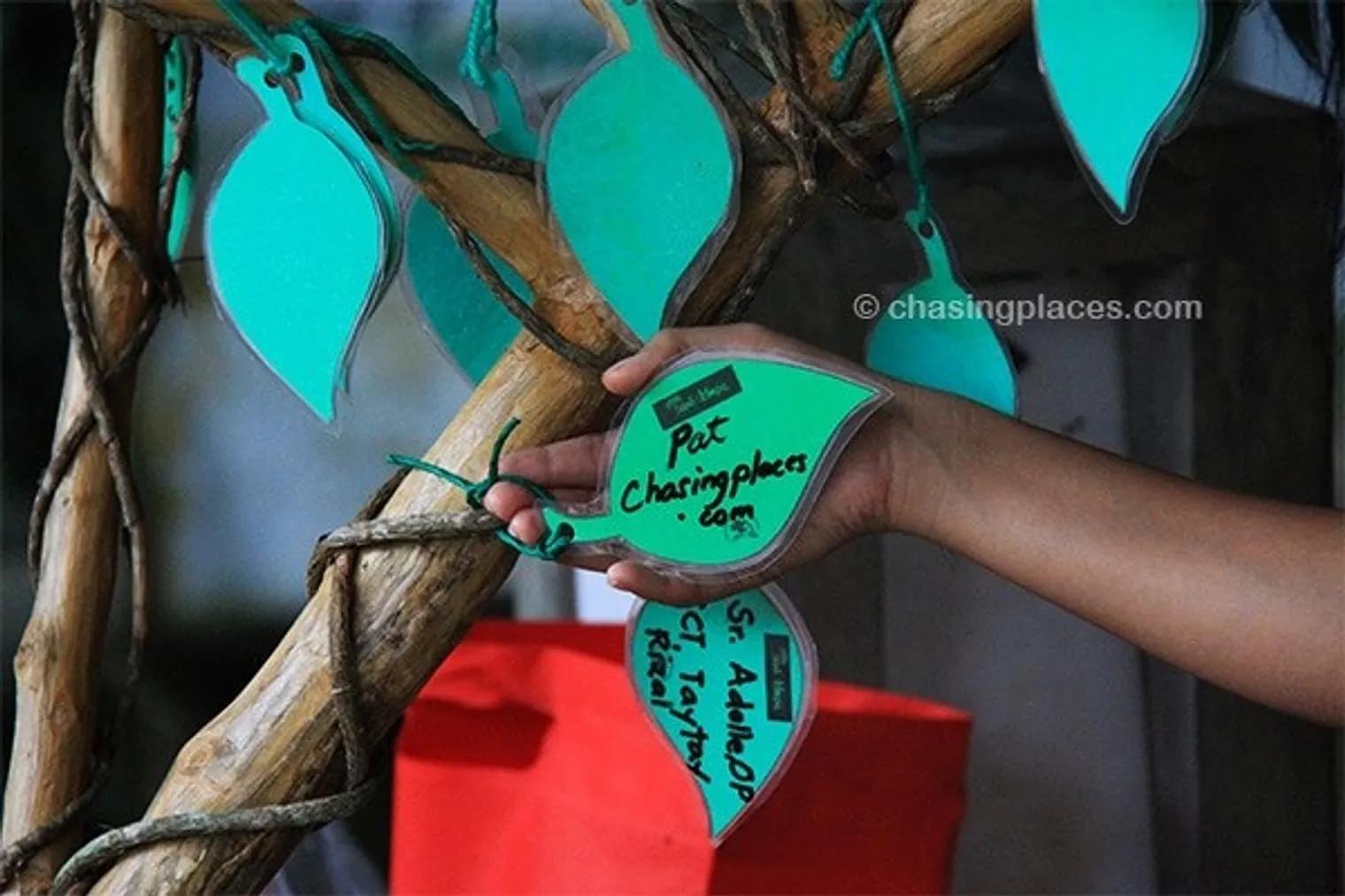 The leaf representing our donation to the Eagle Center