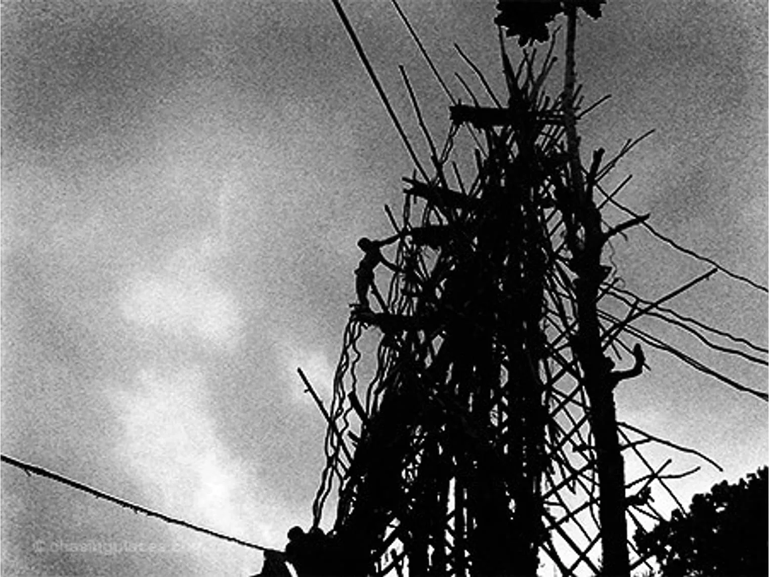 A view of the Land Diving Tower at Pentecost Island