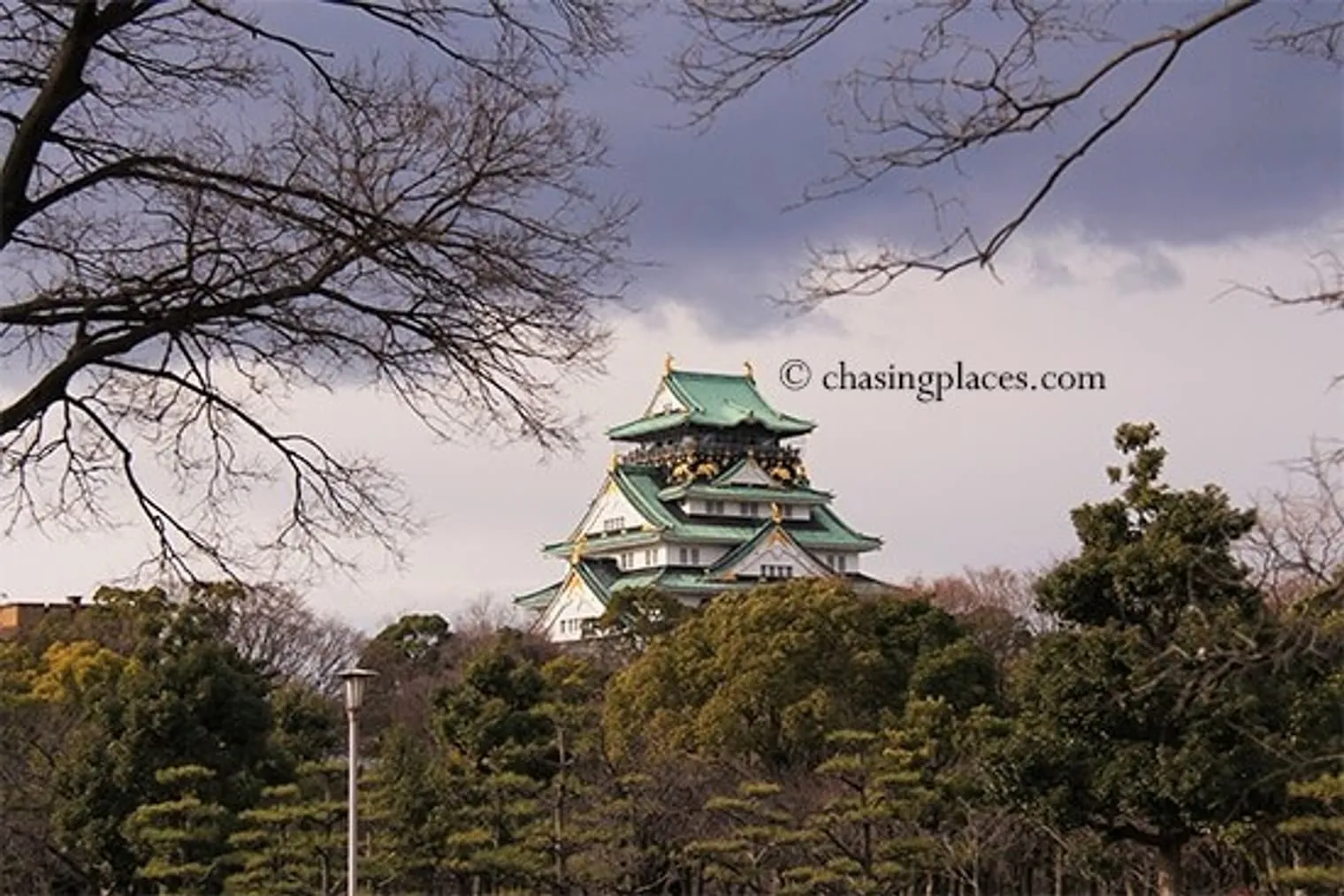 Osaka-jo-peeking over the nearby park grounds