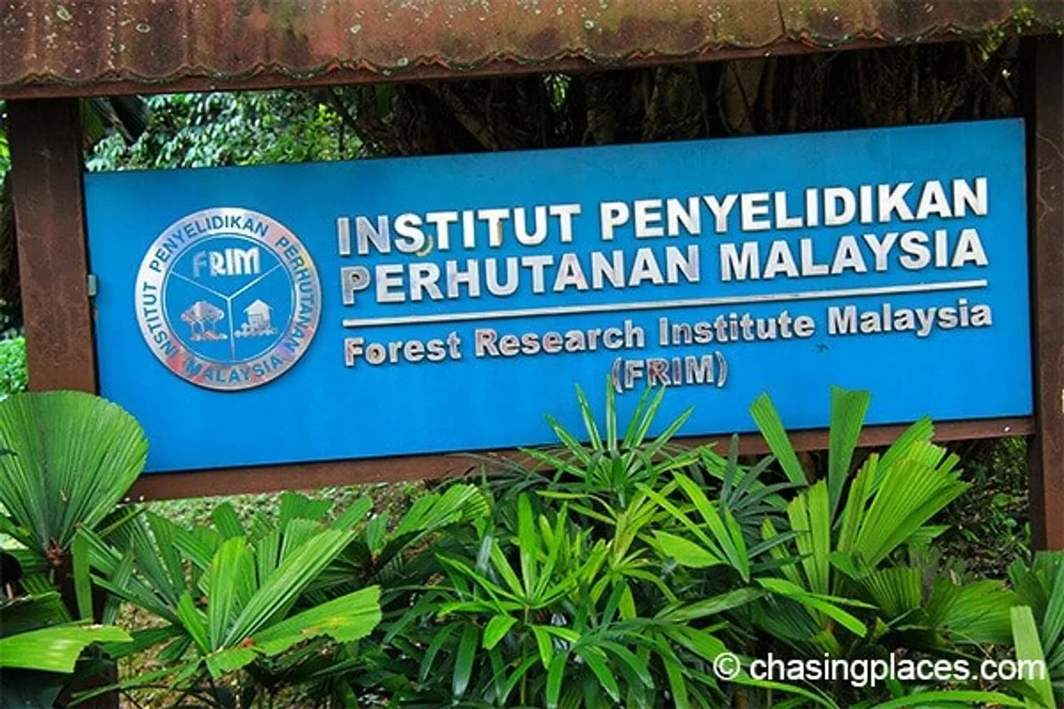 Visit FRIM to enjoy the tropical jungle environment