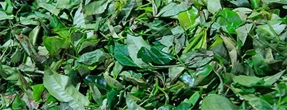 The Chase For Tea Estates in Sri Lanka