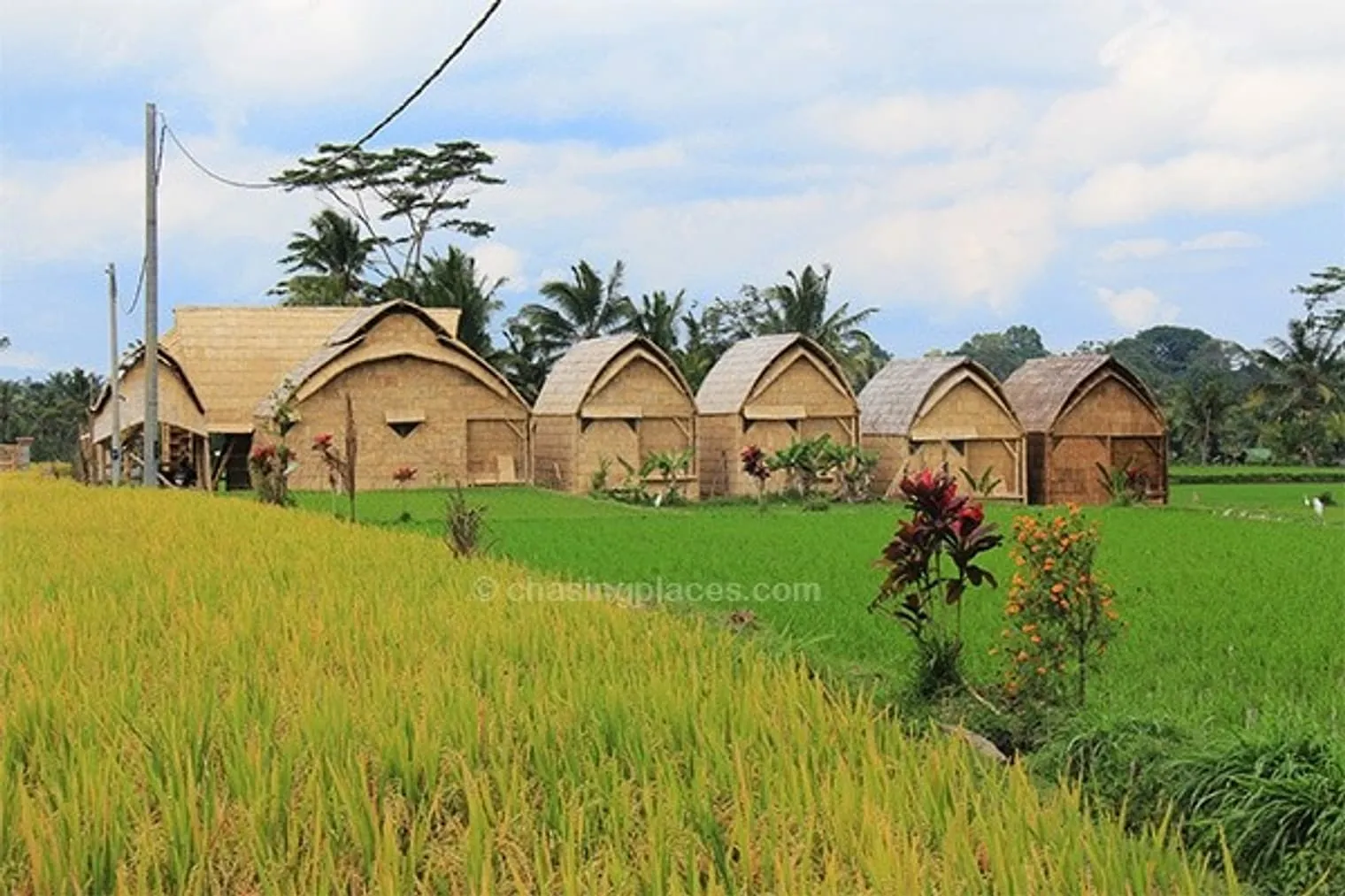 The beautiful countryside around Ubud, Bali