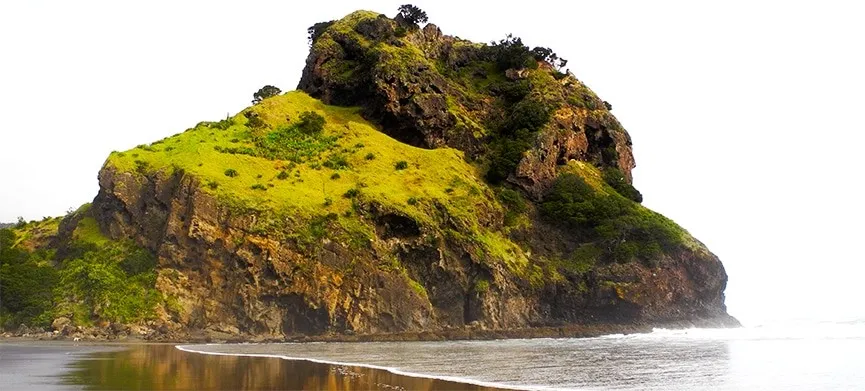 Travel photo of New Zealand, including Auckland and Piha