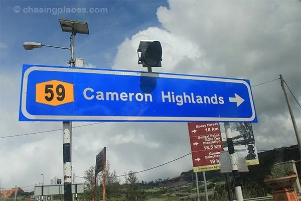 My Unforgettable Weekend Getaway to Cameron Highlands