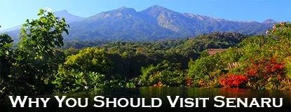 Top 3 Reasons Why You Should Visit Senaru, Lombok Island