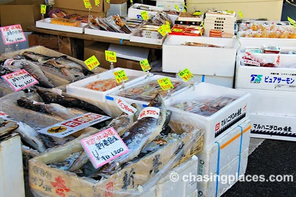 How to Get to Tsukiji Fish Market, Tokyo Using the JR Train or Subway