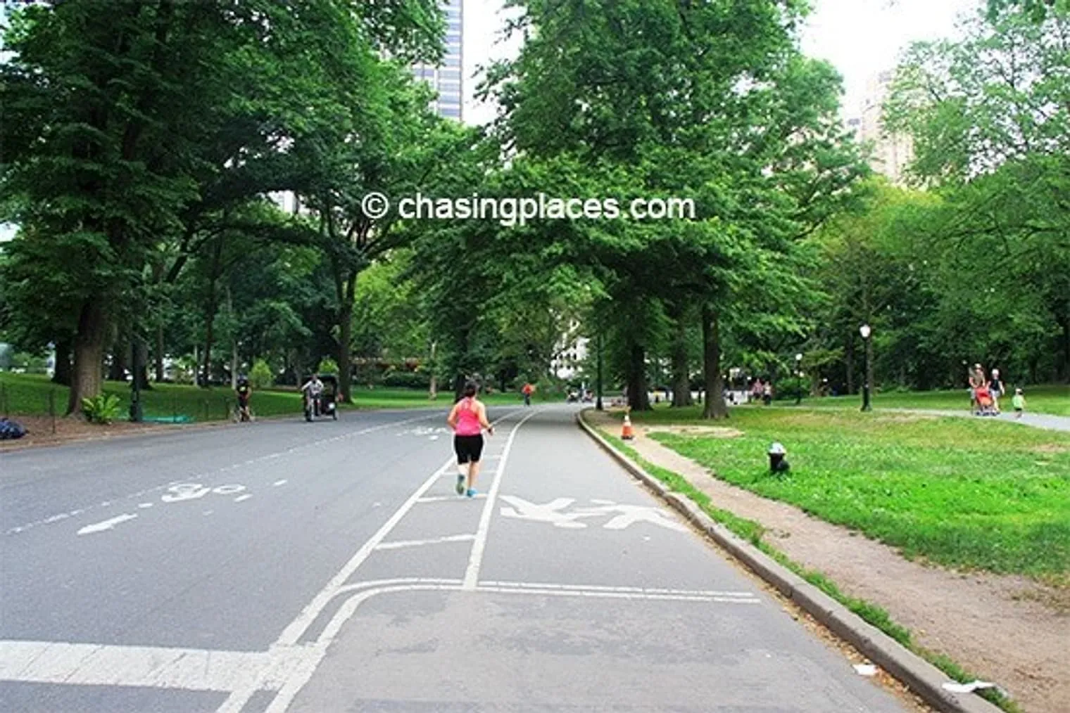 New Yorkers love Central Park