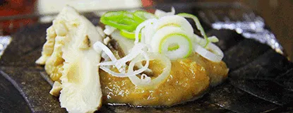 Our Tour Experience visiting Shiragawa-ko and Ainokura
