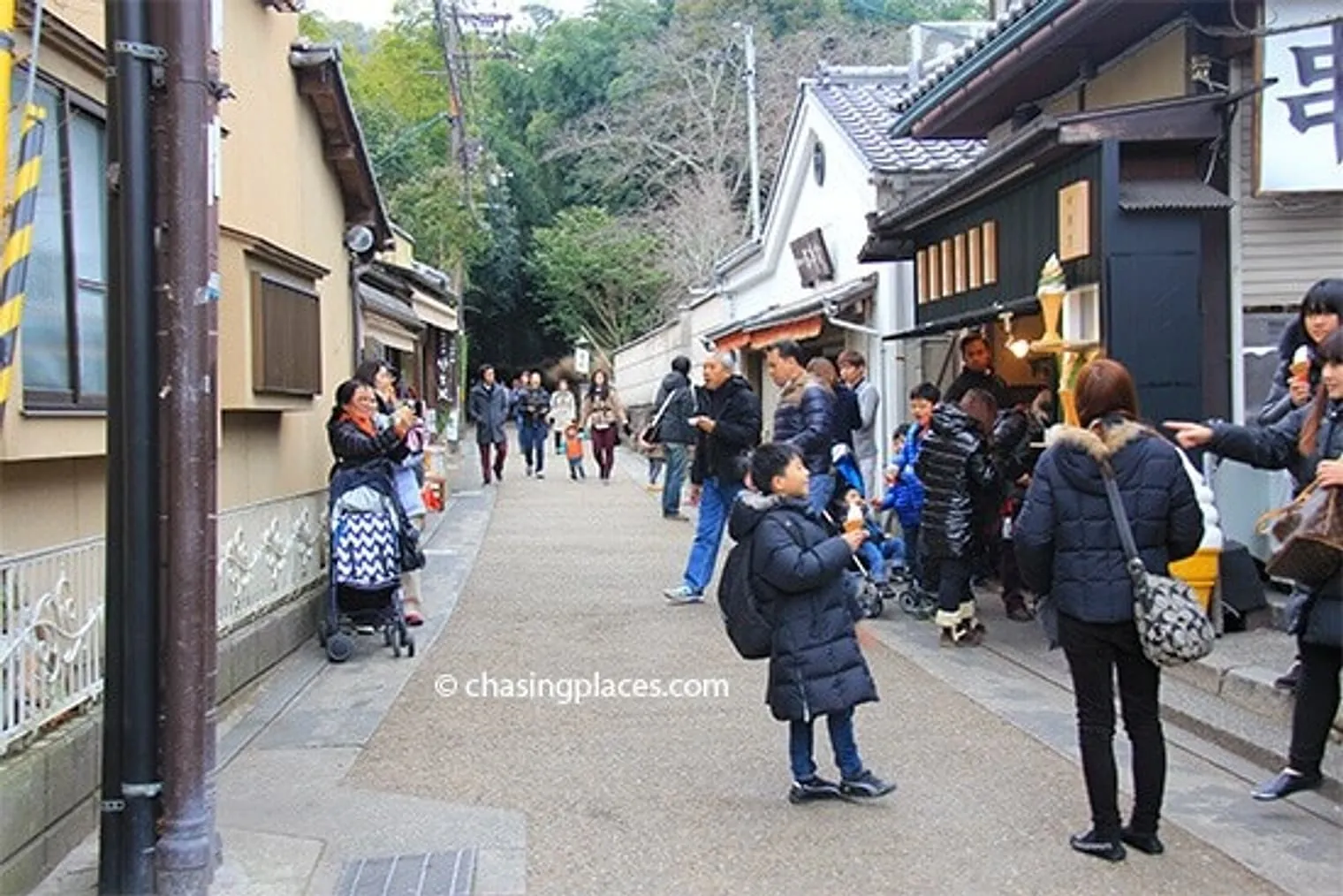 One of the entrances to the Bamboo Grove