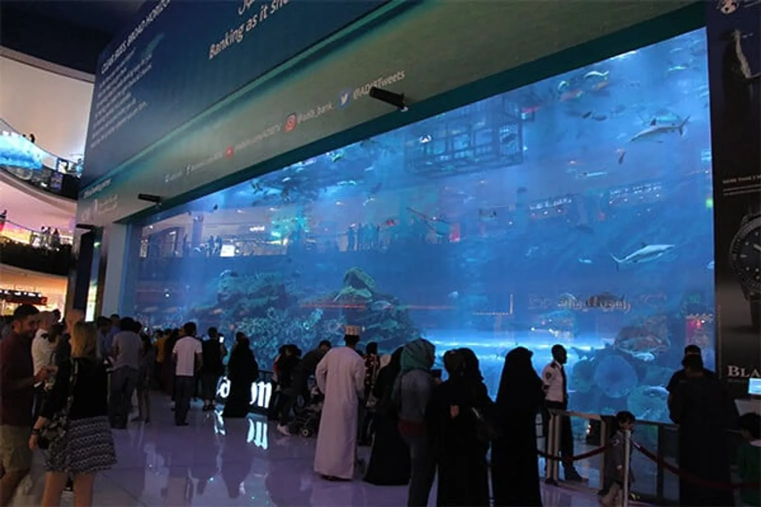 Photo from “35 Things to do in Dubai for an Amazing Holiday”