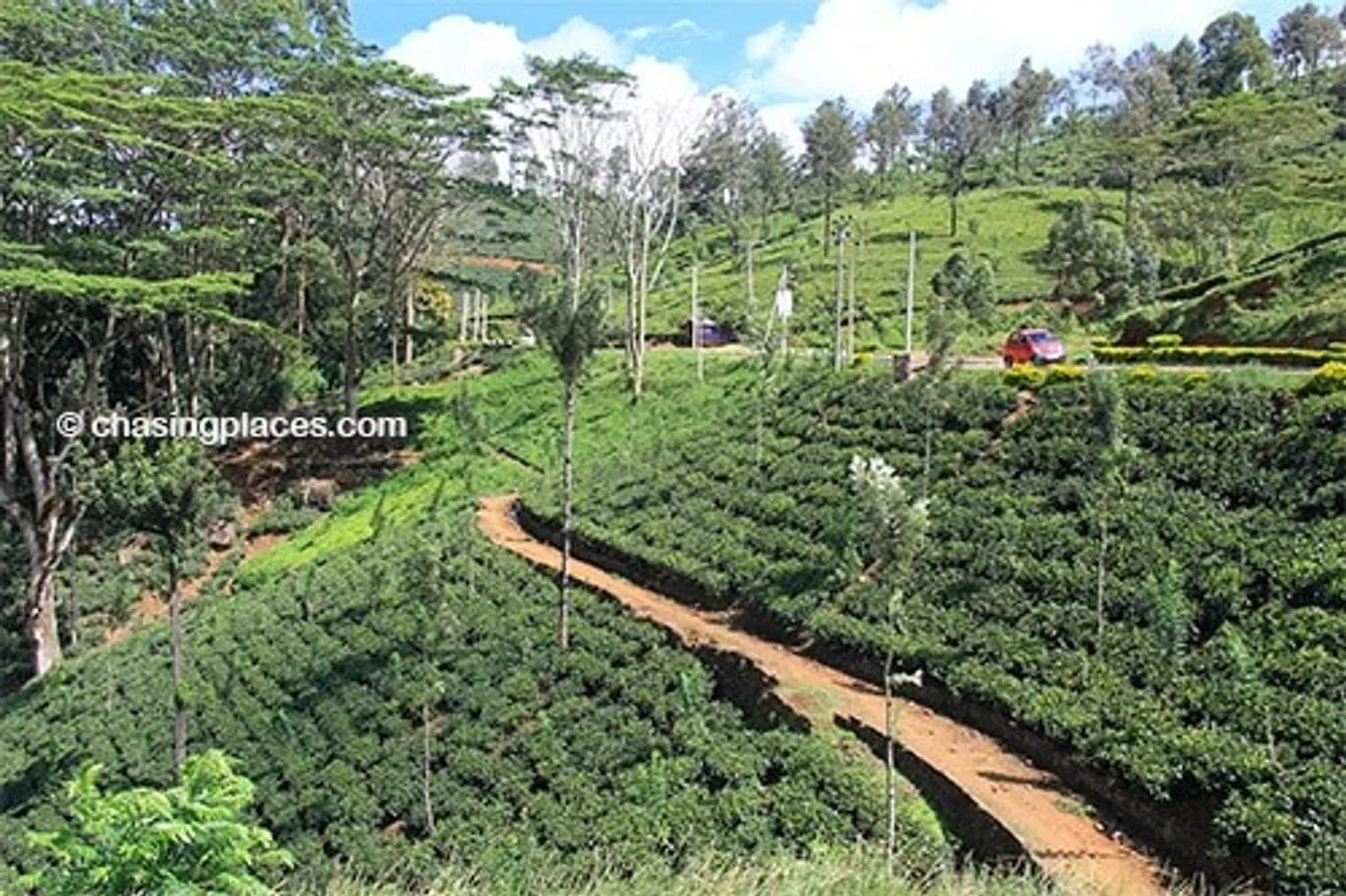 Be prepared for miles upon miles of scenery like this around Nuwara Eliya