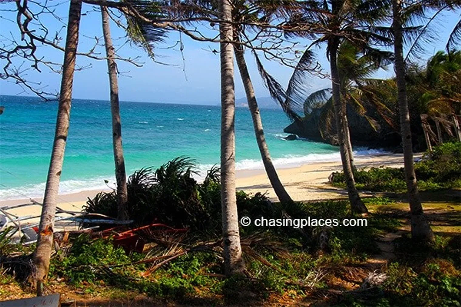 The patch of green at the back of the beach
