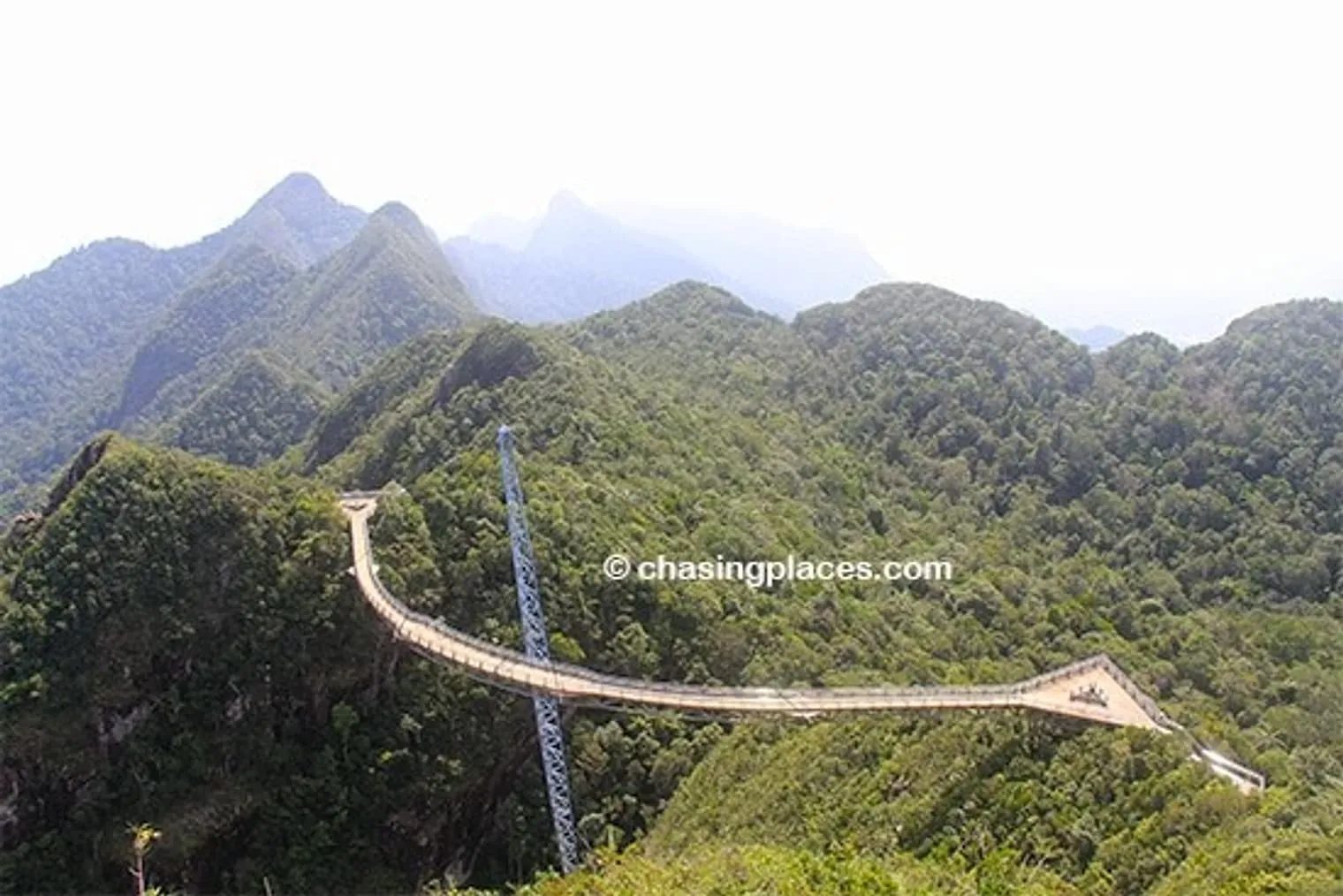 The SkyBridge from one of the viewing platforms above