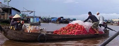 Into the Mouth of the Mekong Delta